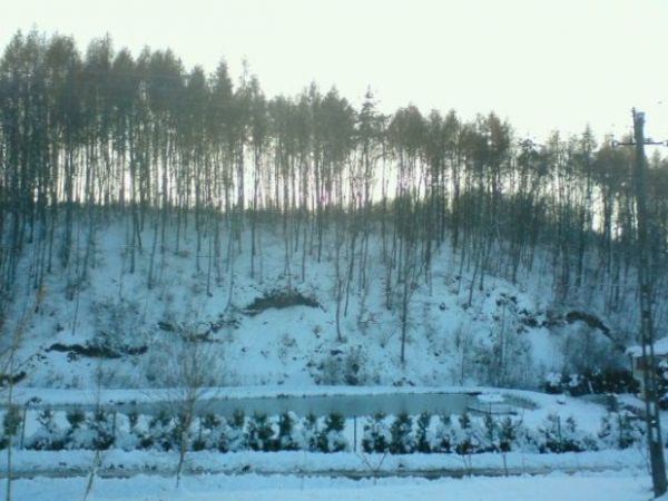 Widok na las gminny i skały piaskowe w Hucisku-Wójt gminy i sołtys wsi chcieli go sprzedać na kopalnie piasku. Mieszkańcy nie wyrazili zgody.