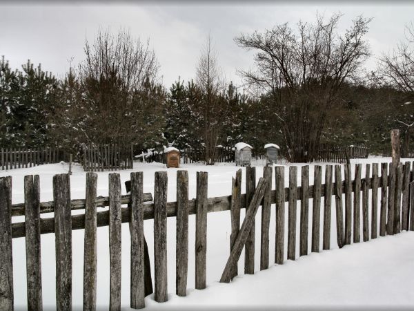 zdjecie Tyniewicze Duże