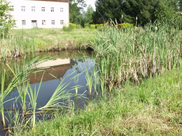 zdjecie Czerwony Kościół