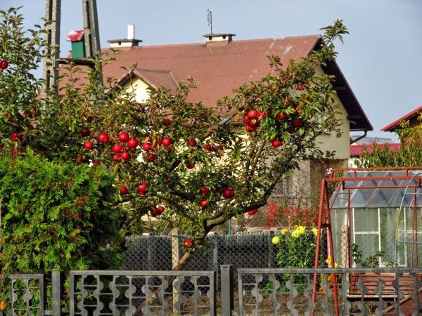 Jesień 2014 na ulicy Słonecznej