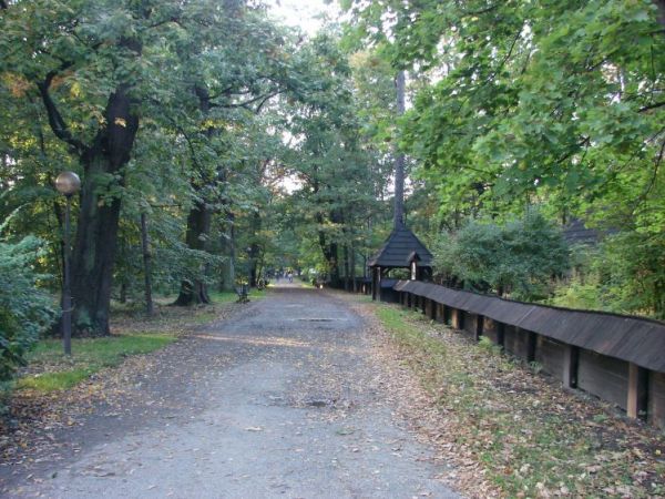 Droga do skansenu wsi Pszczyńskiej