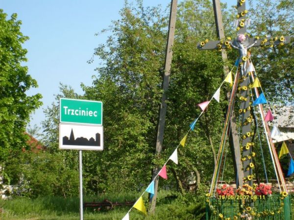 Trzciniec, wieś dawniej zwana Dąbrową założona po wykarczowaniu lasów około1850 r.