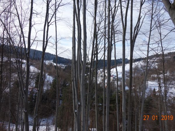 Po lewej stoki Pasma Babicy;Bieńkowskiego Działu. Po prawej Krowia Góra 615 m.n.p.m. Najwyższy punkt Harbutowic. Kijowa Góra o 3 metry niżej. Babica Leży już ki