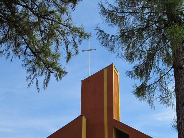 Wieża kościoła wśród drzew