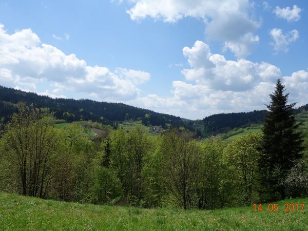 Widok ze szczytu Chodnikowskiej Góry w kierunku przełęczy na Końcówce