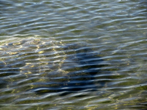 Głazy skalne na ujściu kanału Wdy z jeziora w Jeziornej przy plaży gminnej