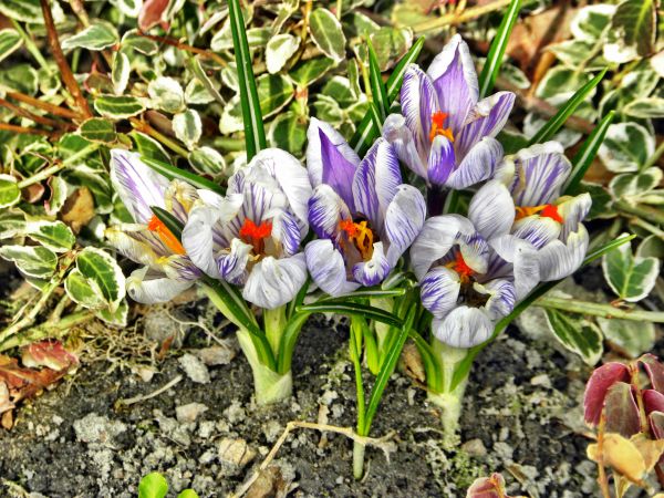 Uroki wiosny dnia 02-04-2011r