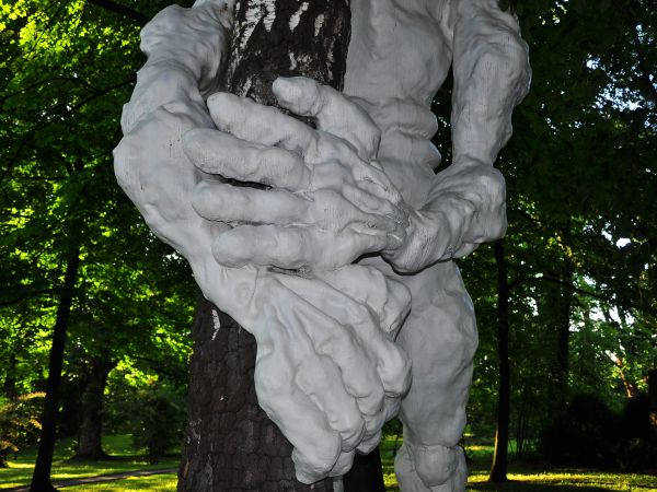 zdjecie Górki Wielkie