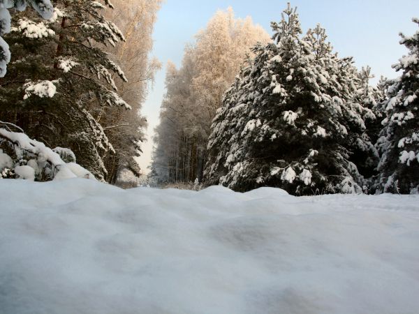 zdjecie Tyniewicze Duże