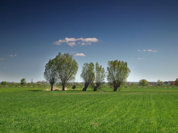Fot. Łukasz Kałduński