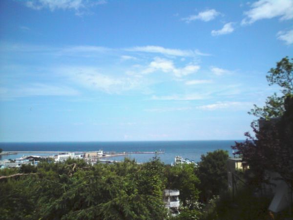 zdjecie Gdynia