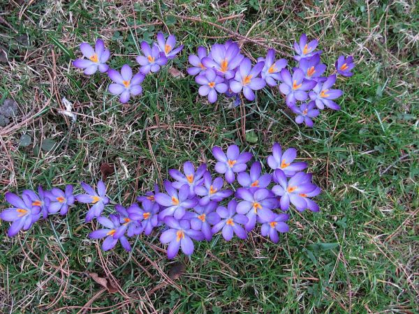 zdjecie Pietrzykowice