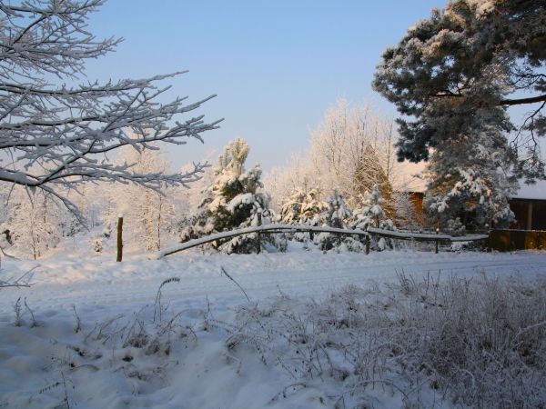 zdjecie Tyniewicze Duże