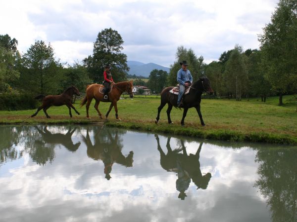 zdjecie Stary Gierałtów