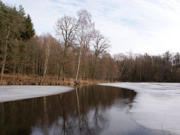 Iłowiec - luty 2011