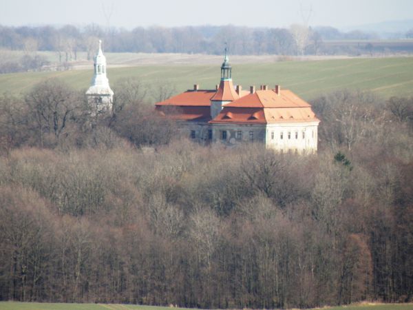 Widok na pałac i kościół od strony Pożarzyska