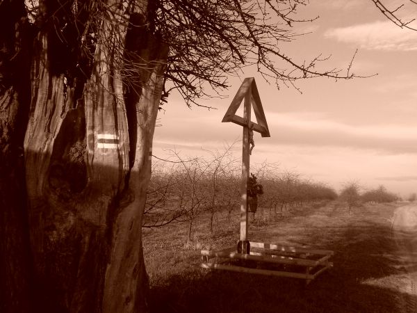 Grusza Żeromskiego, która jest pomnikiem przyrody rośnie w okolicach Chobrzan przy polnej drodze otoczonej sadami owocowymi.  Stefan Żeromski często przesiadywa