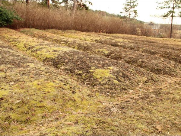 Cmentarz wojenny z okresu I Wojny Światowej w Mołodyczu.