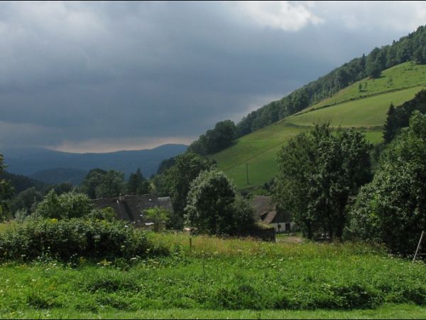 Okoliczne krajobrazy są naprawdę piękne.