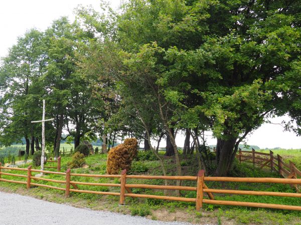 w Projekcie "Aby umarli mogli żyć" poczyniono starania w trosce o ocalenie i uświęcenie tego miejsca.