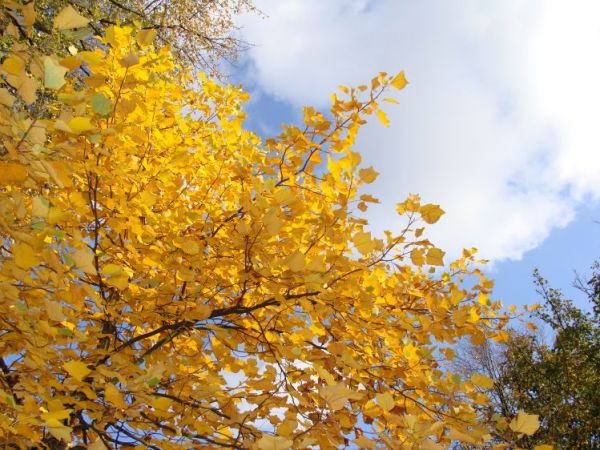 Pod karszanskim niebem