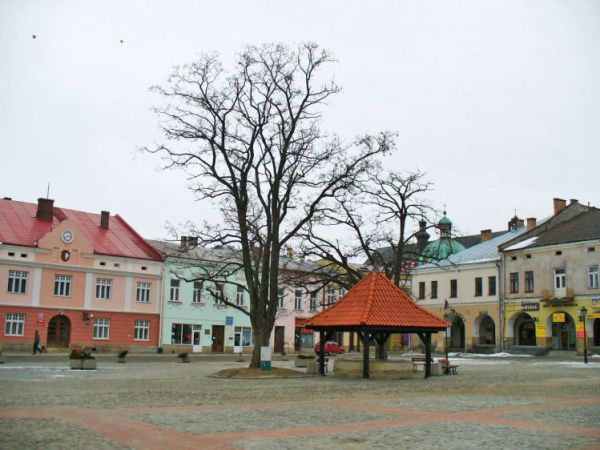 Rynek
