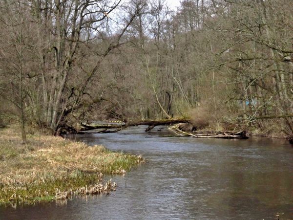 Rzeka Wda widziana z kładki dla pieszych