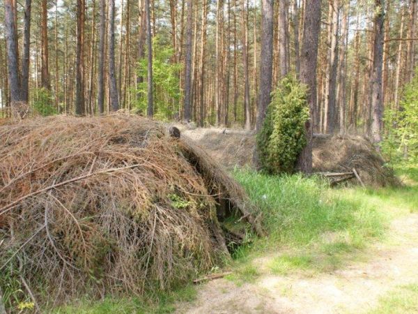 Szałasy w lesie. Iłowiec - maj 2010