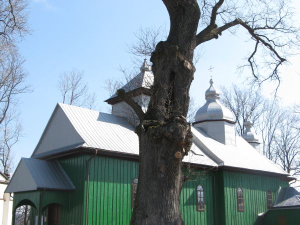 Przed dawną cerkwią pw. św. Szymona Słupnika - z 1872r.  Od 1946r. kościół pw. Narodzenia NP.Marii. Obok dzwonnica z 1934r. Przy kościele 700 /siedemset/ letni