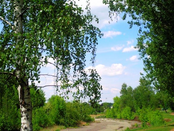 Park Grabek w Czeladzi - latem