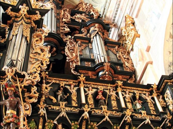 Bazylika Zwiastowania NMP w Leżajsku – wzniesiona w miejscu, gdzie według tradycji ukazała się w 1590 roku Tomaszowi Michałce Matka Boska. Sprawują nad nią opie