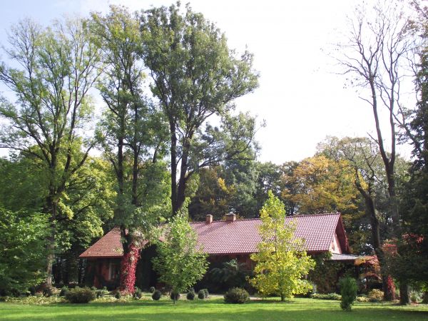 sóweczka - jest częstym gościem / drapieżnikiem na łowach - w tym dworskim parku poluje na ptaki śpiewające i gryzonie tj. na ryjówki, myszy, nornice.