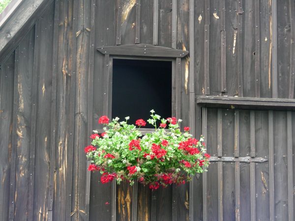 zdjecie Chełmsko Śląskie