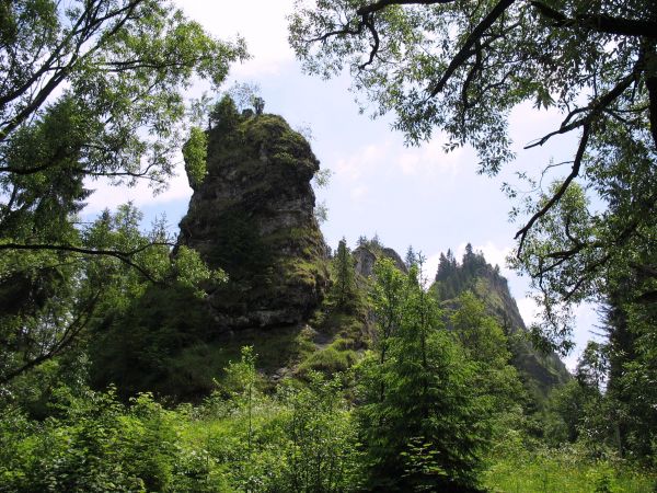 Wejście do Wąwozu Homole