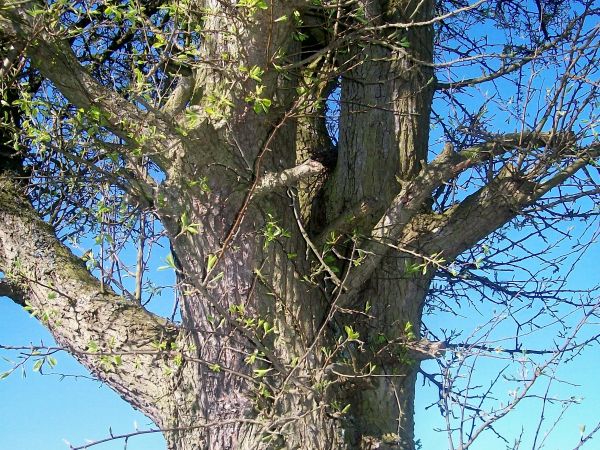 zdjecie Stanisławów