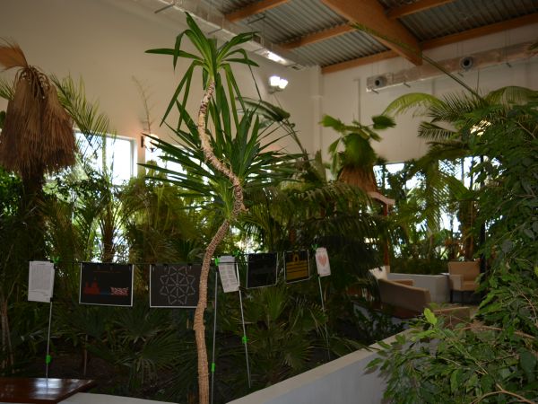 Zdrojowa Palmiarnia.