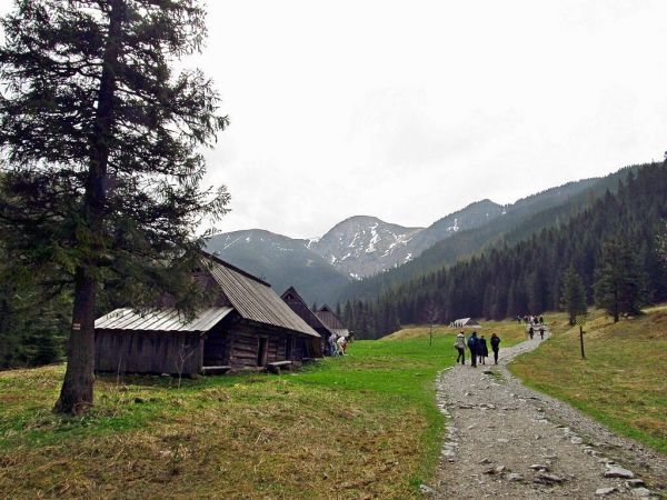 Na Polanie Jaworzynka