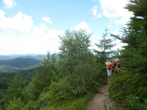 to już końcowy etap podejścia do szczytu góry Dwernik Kamień - 1004m npm, po lewej n/z urwiste, skaliste zbocze, niebezpieczne przejście tą ścieżką, hen pokryte