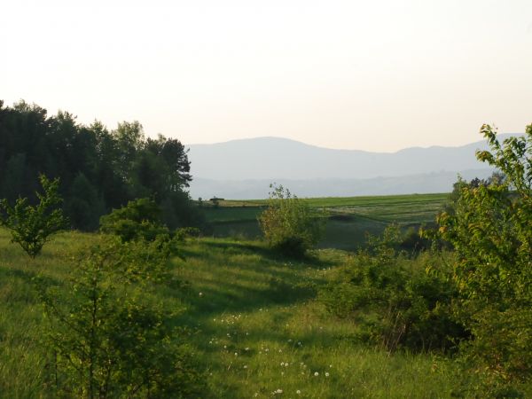 zdjecie Bącza-Kunina