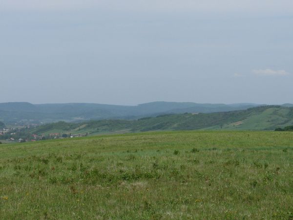 pastwiska na wierzchowinie, na prawo fragment zbocza g. Chełmiec, w dali Łazy Stróżowskie i zejście wąwozem - zakrzaczonym po jednej stronie przez tarniny do ws