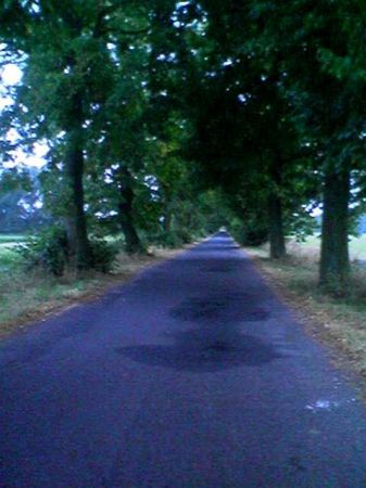 Zdjęcia Pawłowo Skockie