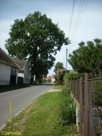 zdjecie Czarnolas