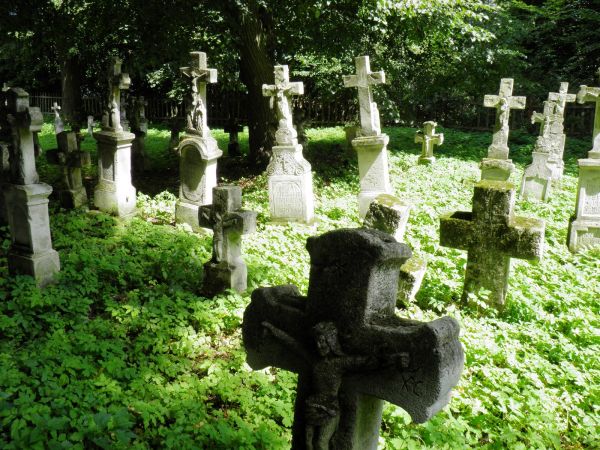 Stary , zabytkowy cmentarz greckokatolicki w Radrużu. Krzyże i figury  nagrobne wykonane przez artystów - kamieniarzy ze Starego Brusna . Wsi tamtej nie ma , lu