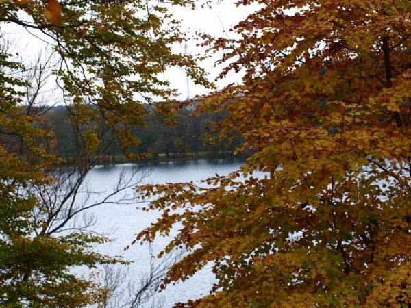 Nsza-Jesien-okolice Zlocienca