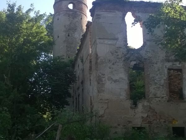 Ruiny pałacu w Rudnicy. Wybudowany w 1626 r. jako renesansowa rezydencja. Po ok. 60 latach użytkowania przebudowany w stylu barokowym, kolejny raz w 1718 r. Zni