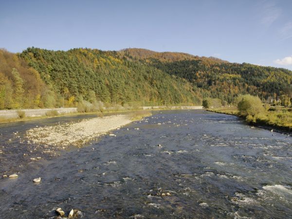 Poprad w okolicy Piwnicznej-Zdrój