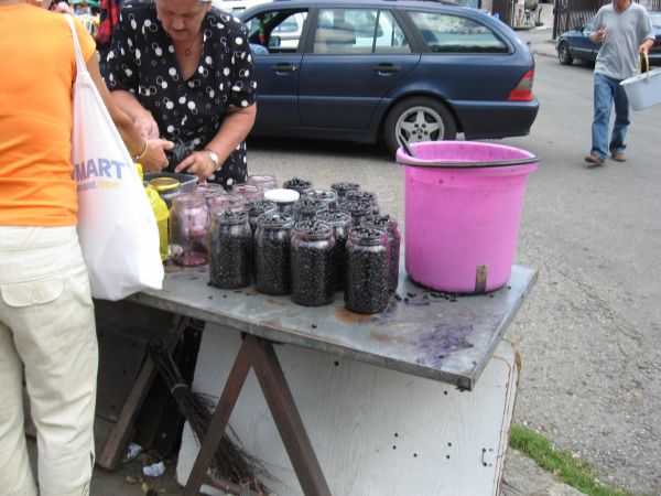 Maślany rynek sprzedaż borówek