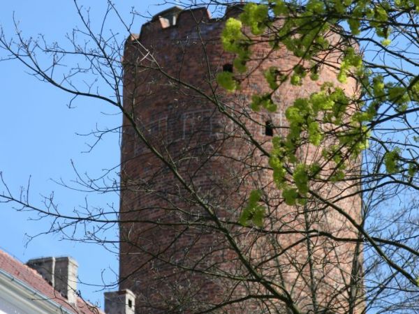 Wieża zamku Joanitów.