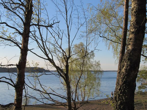 Widok na jezioro Wdzydze z terenu OW Jasnochówka