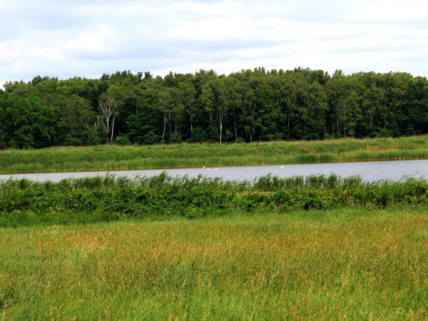 zdjecie Gołębiówka